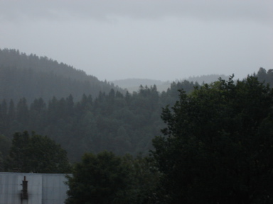 DSC03582
