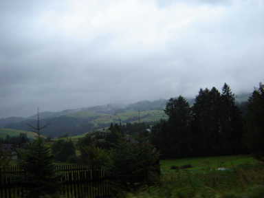 DSC03584