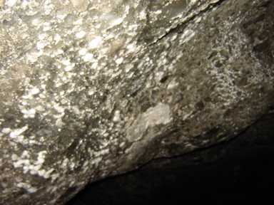 DSC03675