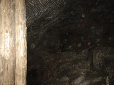 DSC03678