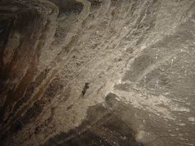 DSC03680