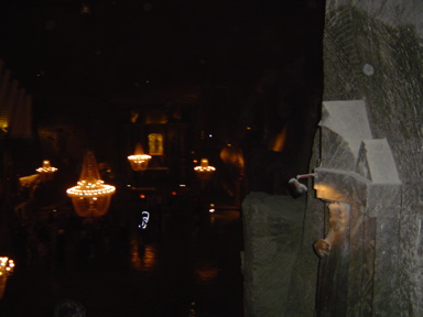 DSC01499