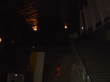 DSC01529