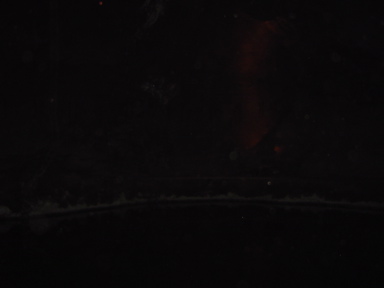 DSC01554