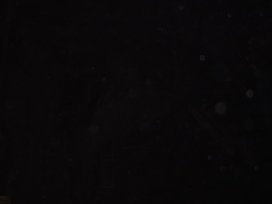 DSC01555