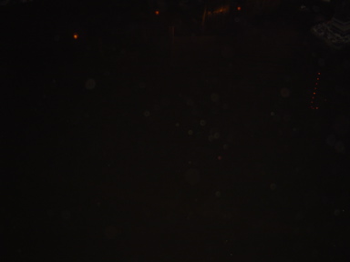 DSC01562