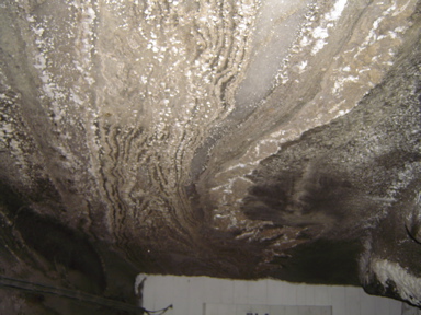 DSC01429