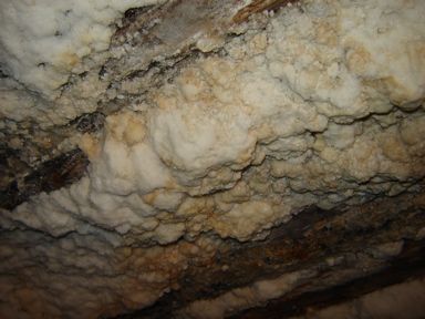 DSC03661