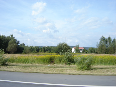 DSC03739