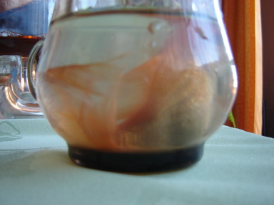 DSC03767