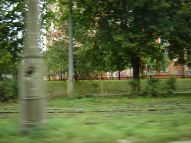 DSC03782