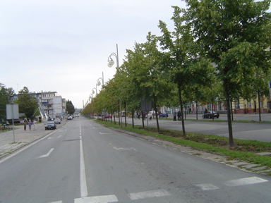 DSC01617