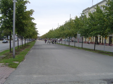 DSC01619