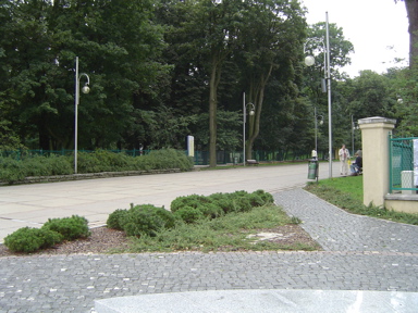 DSC01624