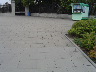 DSC01730