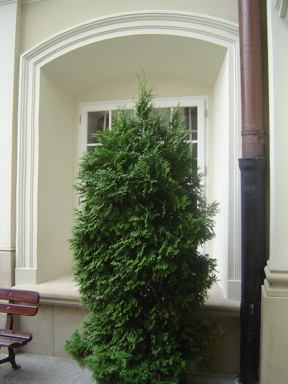DSC01807