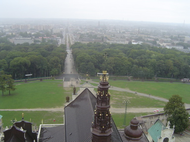 DSC01890
