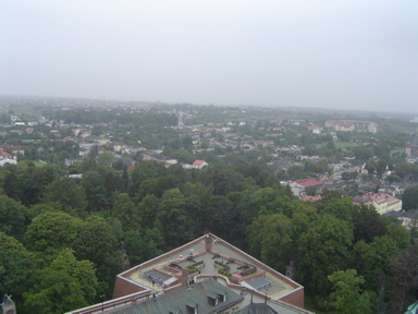 DSC01901