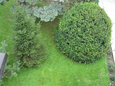 DSC01943