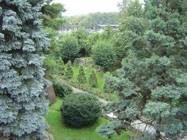 DSC01945