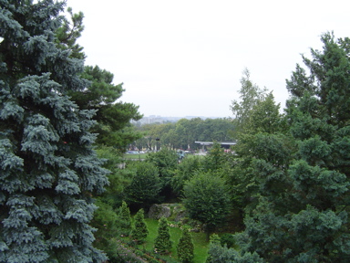DSC01946