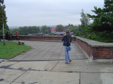 DSC01953