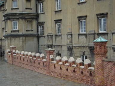 DSC03981