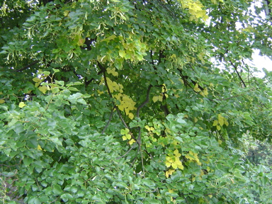 DSC01995